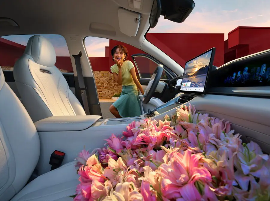 Geely-EX2-storage-solutions.jpg